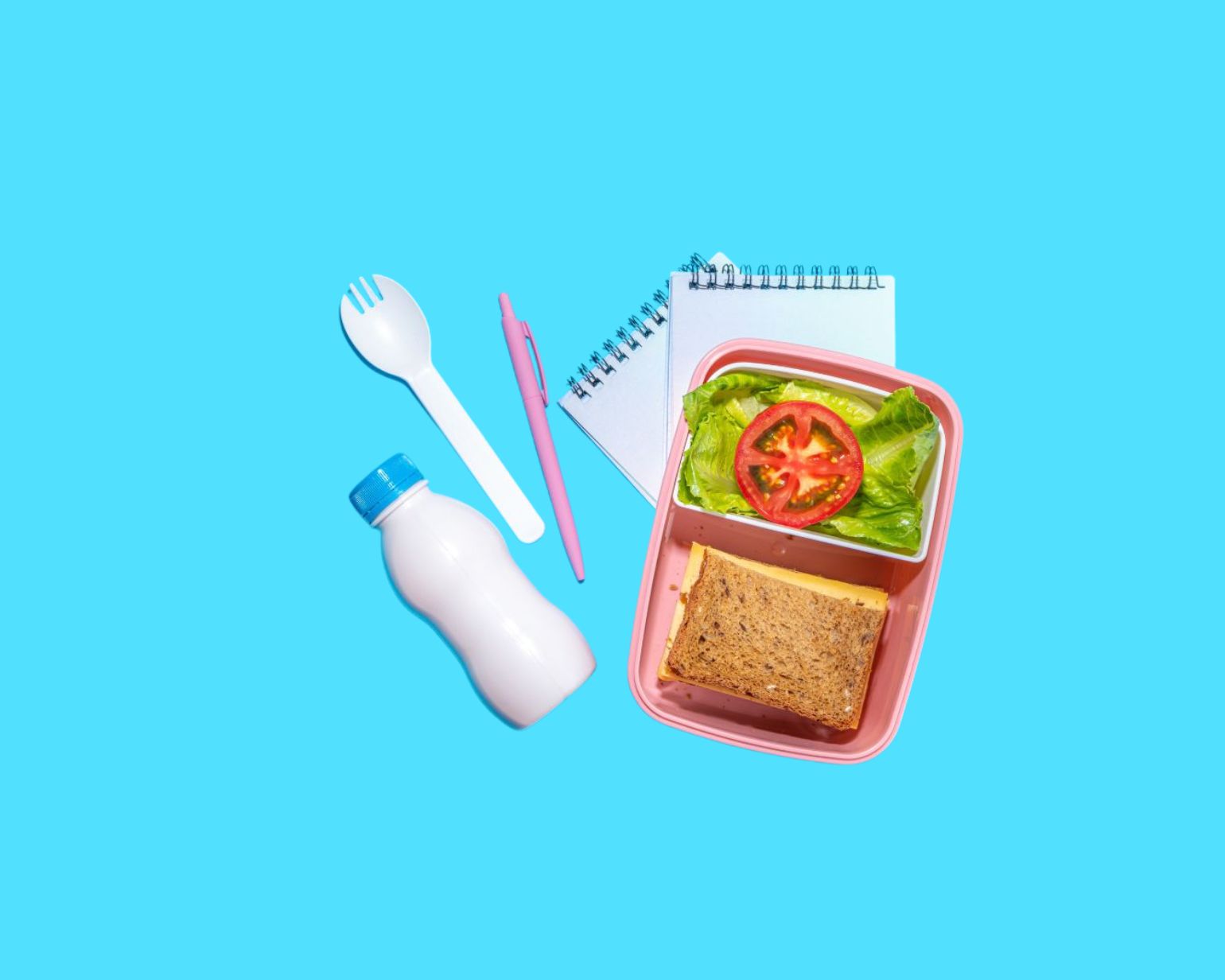 School lunch and notebook on blue background